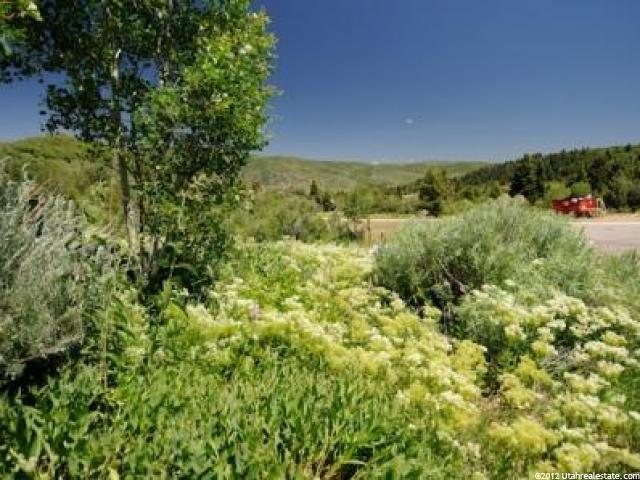 8729 Parleys Ln, Park City, UT 84098 — photo 5