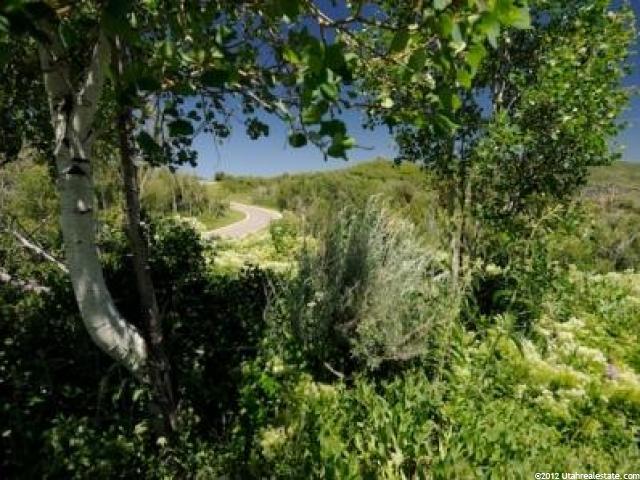 8729 Parleys Ln, Park City, UT 84098 — photo 6
