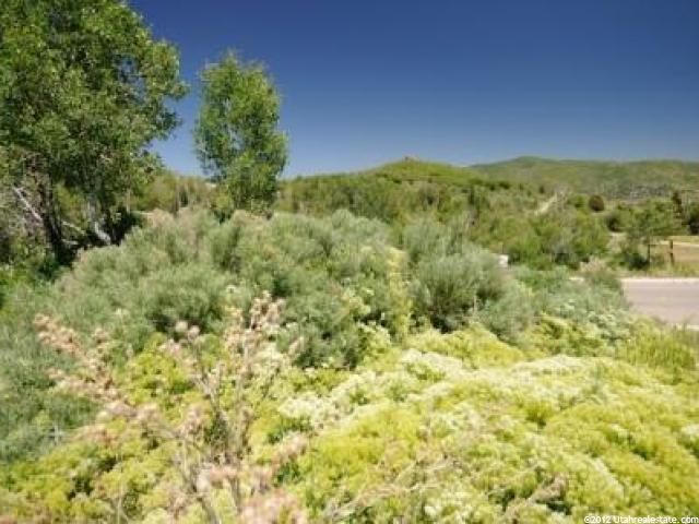 8729 Parleys Ln, Park City, UT 84098 — photo 7