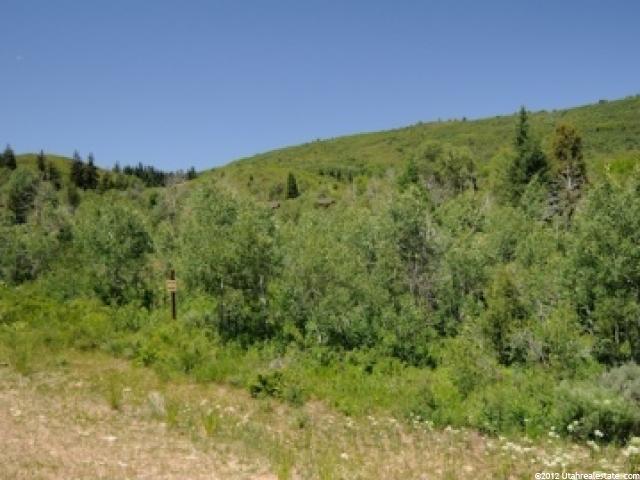 8736 Parleys Ln, Park City, UT 84098 — photo 3