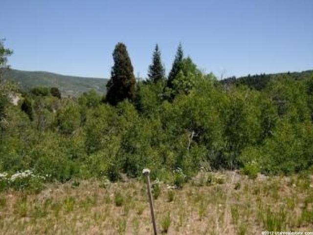 8736 Parleys Ln, Park City, UT 84098 — photo 4