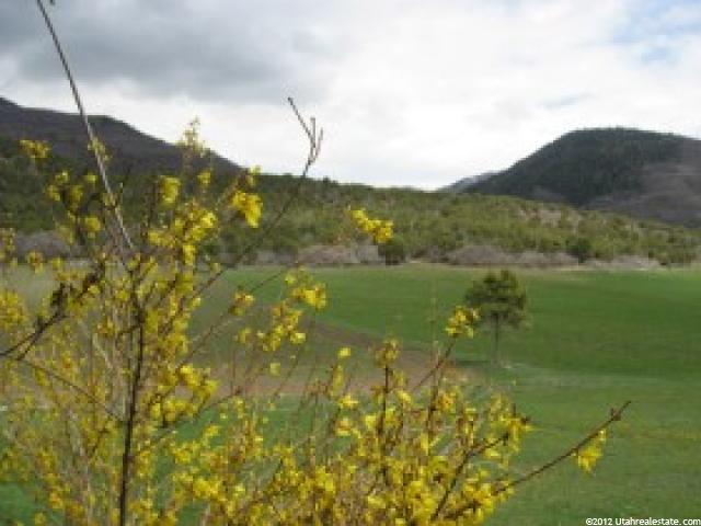 25850 N 12050 E, Fairview, UT 84629 — photo 5