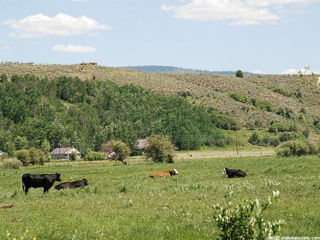 5 Marchant Ln #5-7, Peoa, UT 84061 — photo 9