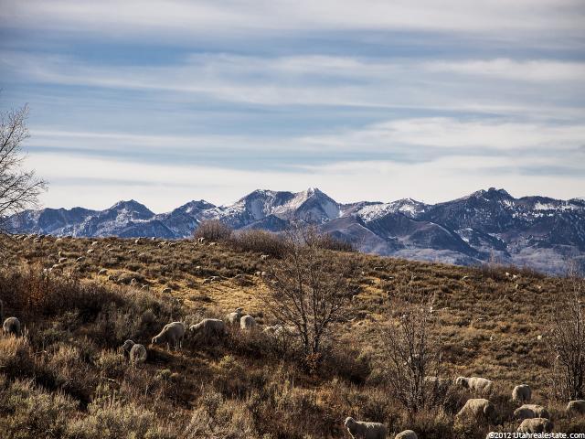 8427 E Aspen #40, Woodland, UT 84036 — photo 3