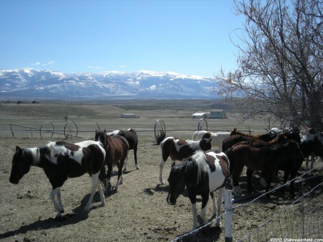 18000 N Pea Valley Rd. E, Moroni, UT 84646 — photo 4