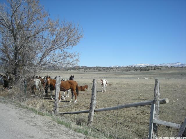 18000 N Pea Valley Rd. E, Moroni, UT 84646 — photo 5