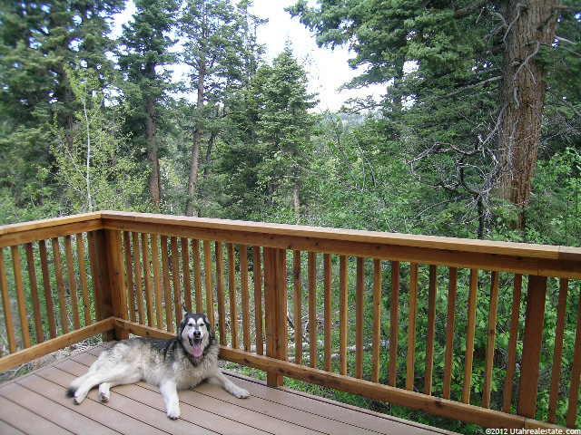 1288 W Arapaho Dr, Wanship, UT 84017 — photo 8
