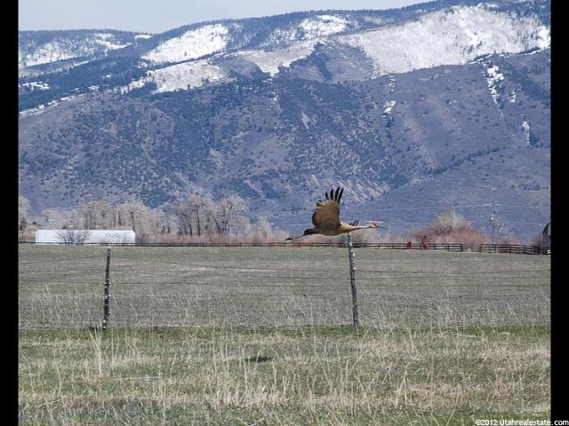 1 State Road 32, Peoa, UT 84061 — photo 11