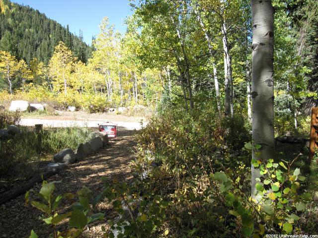 3104 S Moose Meadow Rd E, Brighton, UT 84121 — photo 2