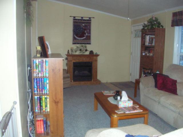 636 S Maple Dr, Garden City, UT 84028 — photo 3