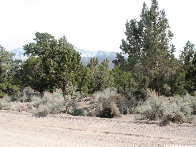 510 E Cottontail Rd #67, Central, UT 84722 — photo 4