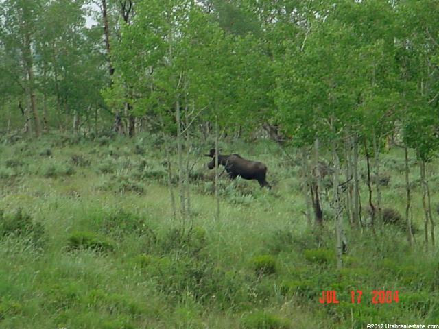 Kamas, UT 84036 — photo 10