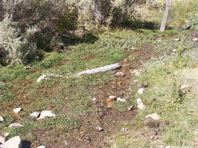 1 Dingle Bottoms, Dingle, ID 83233 — photo 4