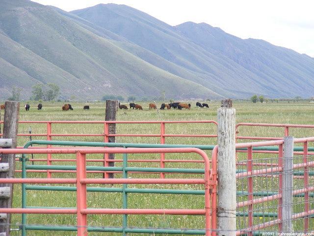 1 Dingle Bottoms, Dingle, ID 83233 — photo 6