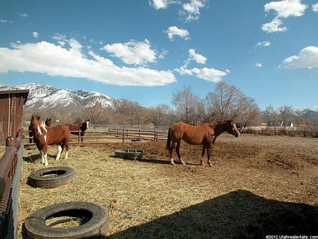 544 E 11900 S, Draper, UT 84020 — photo 12