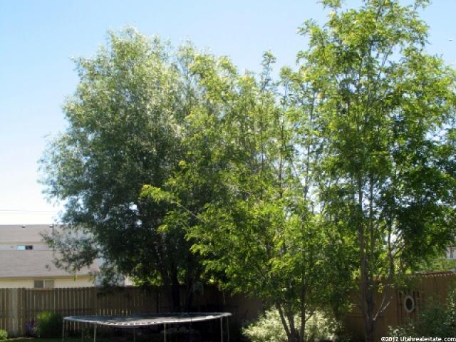 2041 W 1100 S, Syracuse, UT 84075 — photo 5