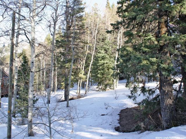 115 Lower Evergreen Dr, Park City, UT 84098 — photo 12