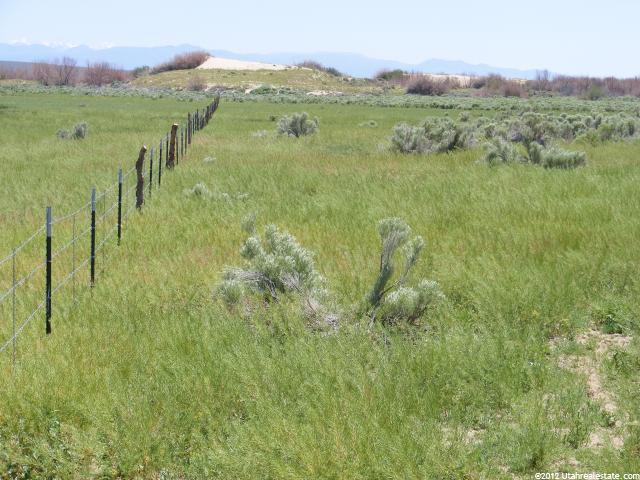 1135 N Hwy 100, Delta, UT 84624 — photo 4