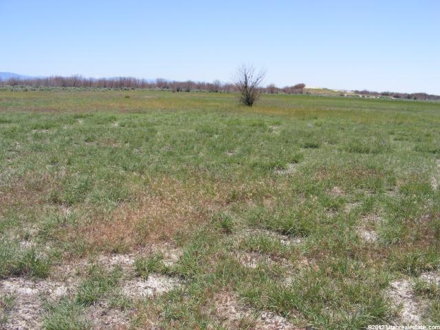 1135 N Hwy 100, Delta, UT 84624 — photo 5