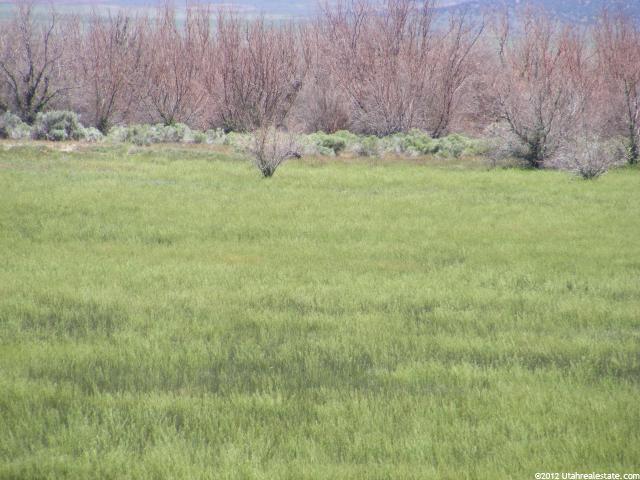 1135 N Hwy 100, Delta, UT 84624 — photo 6