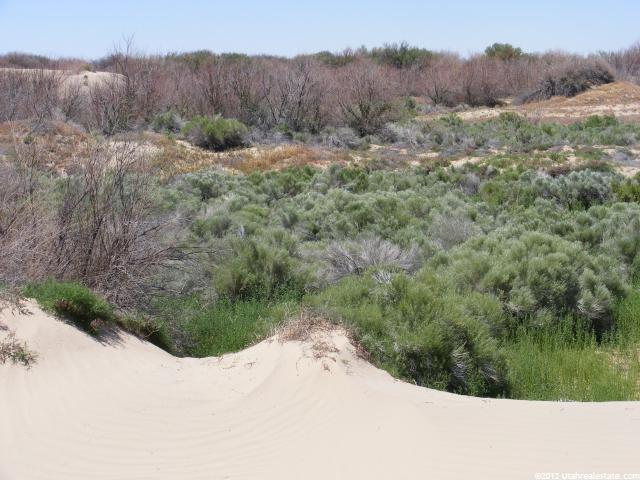 1135 N Hwy 100, Delta, UT 84624 — photo 9