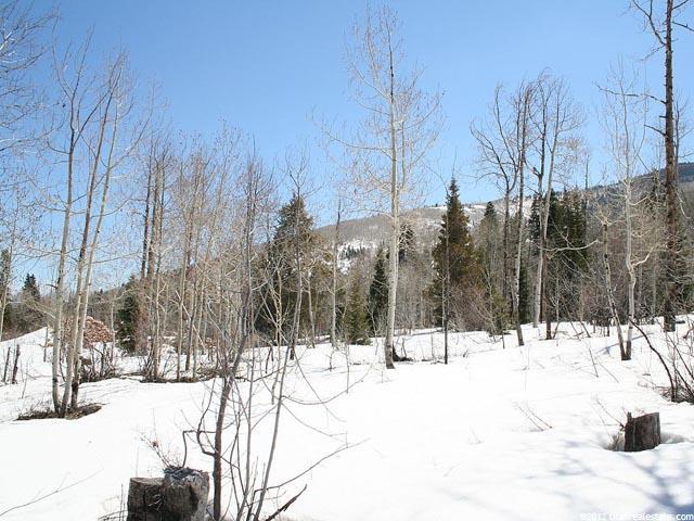 2287 Creek Loop #10, Park City, UT 84098 — photo 3