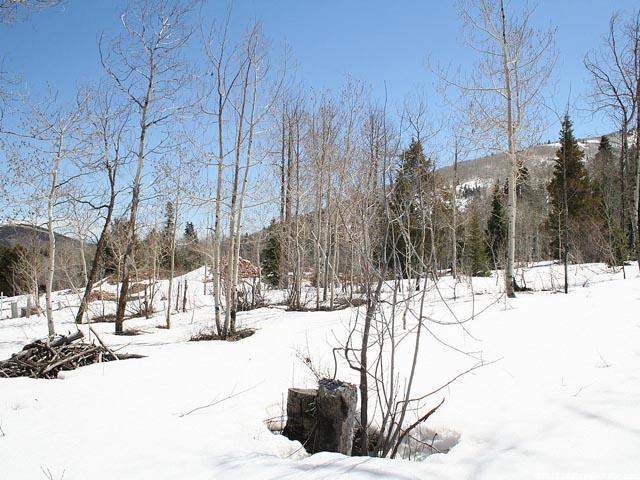 2287 Creek Loop #10, Park City, UT 84098 — photo 4