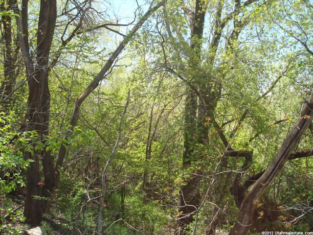 809 E 7 Th St, Ogden, UT 84404 — photo 5