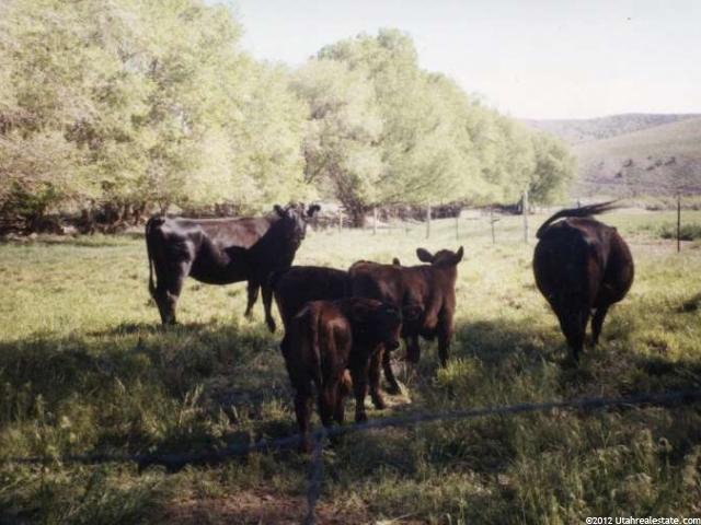 22 S Mt. Dutton, Antimony, UT 84712 — photo 12