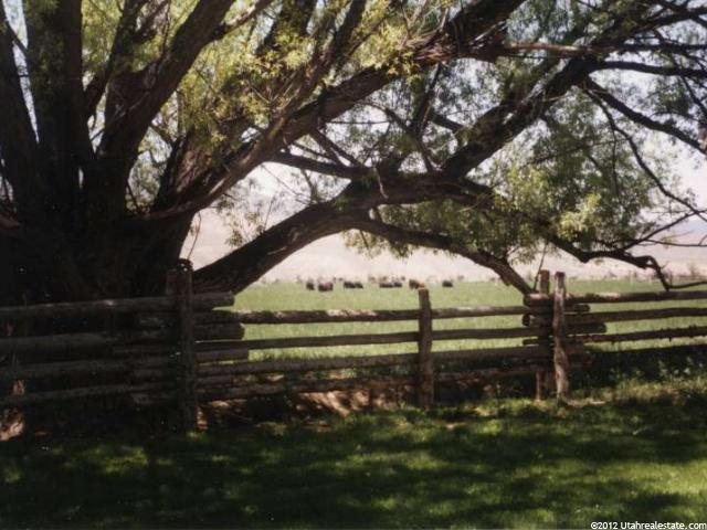 22 S Mt. Dutton, Antimony, UT 84712 — photo 10
