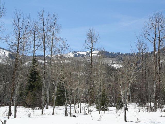 2272 Creek Loop #18, Park City, UT 84098 — photo 5