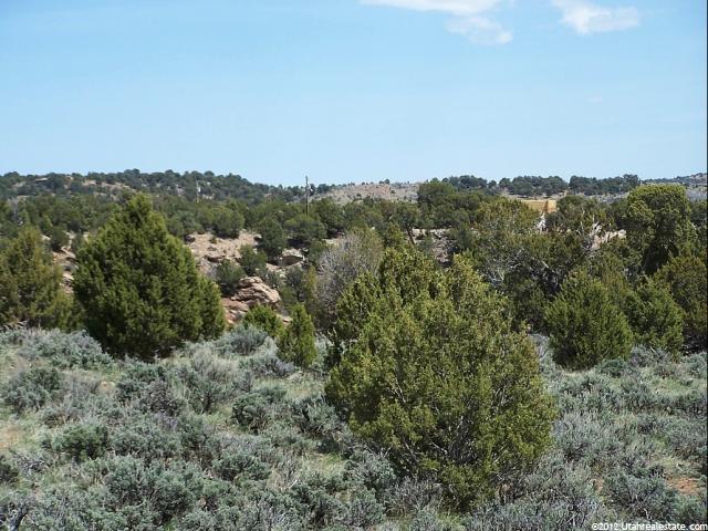 45468 W Easy Money N #342, Fruitland, UT 84027 — photo 6