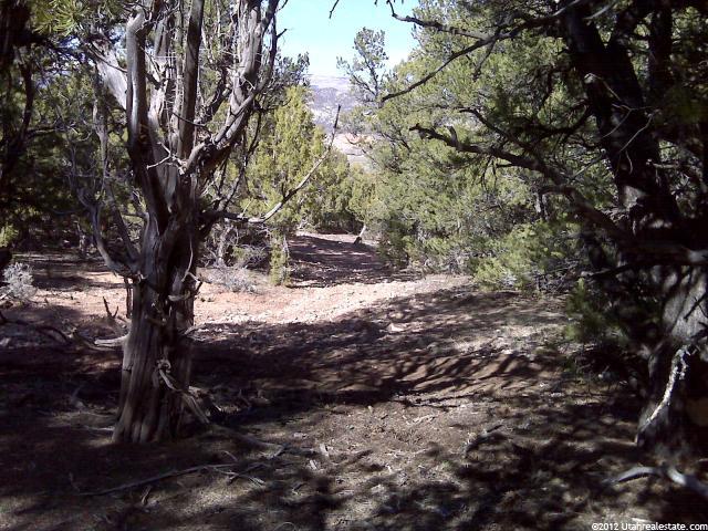 Tabiona, UT 84072 — photo 2