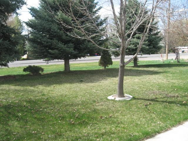 450 N Main, Mona, UT 84645 — photo 11