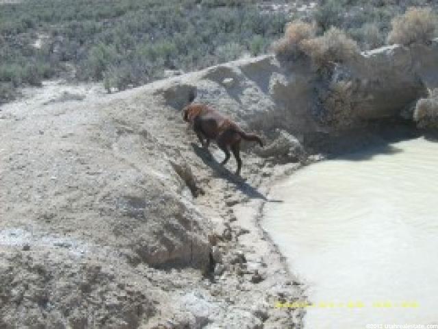 Rosette, UT 84329 — photo 4
