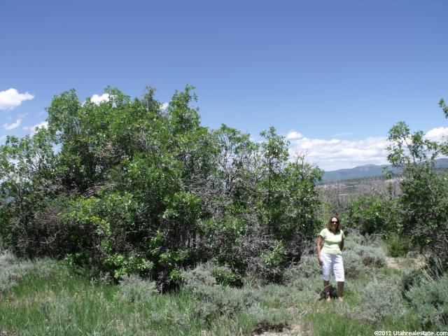 176 E Whispering N #176, Mt Pleasant, UT 84647 — photo 5