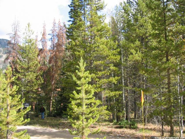 77 N Mohican Rd E #77, Oakley, UT 84055 — photo 2