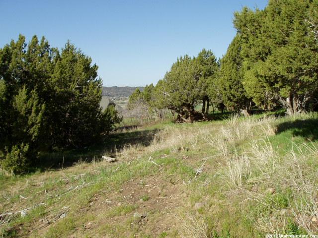 #13, Uintah, UT 84403 — photo 7