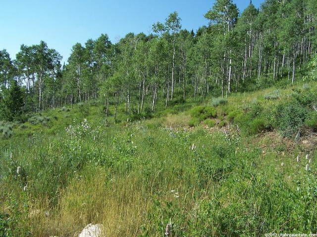 #23, Tabiona, UT 84072 — photo 3