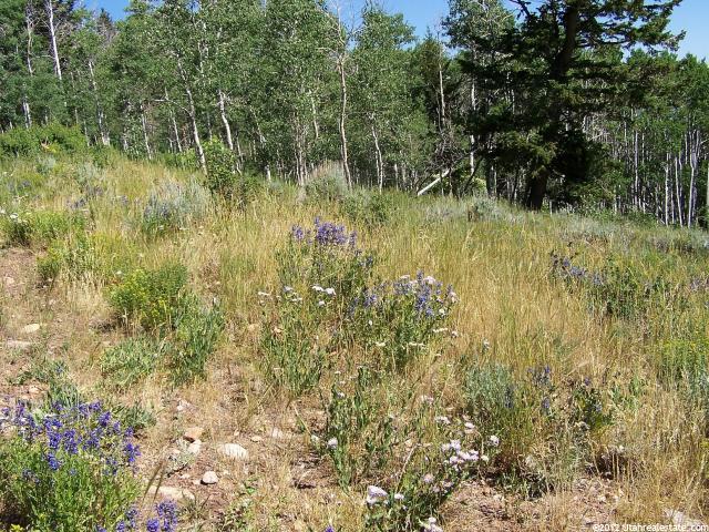 #23, Tabiona, UT 84072 — photo 4
