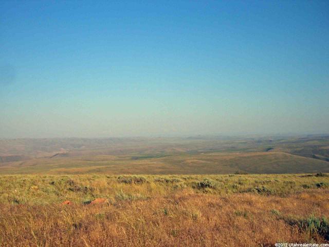 Dingle, ID 83233 — photo 3