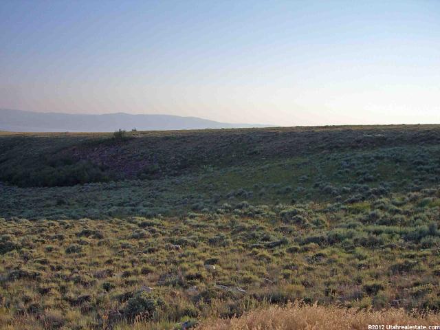 Dingle, ID 83233 — photo 4