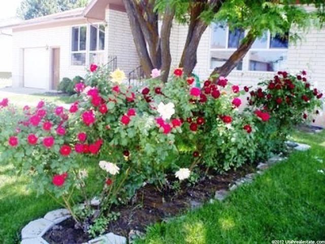 278 W 1100 N, Logan, UT 84341 — photo 12