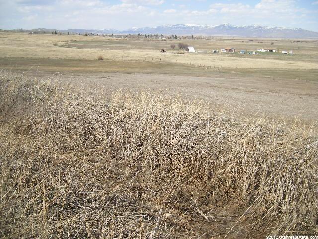 Paris, ID 83261 — photo 8