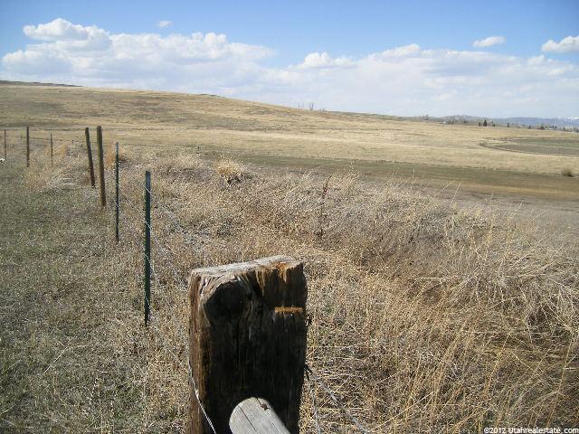 Paris, ID 83261 — photo 9