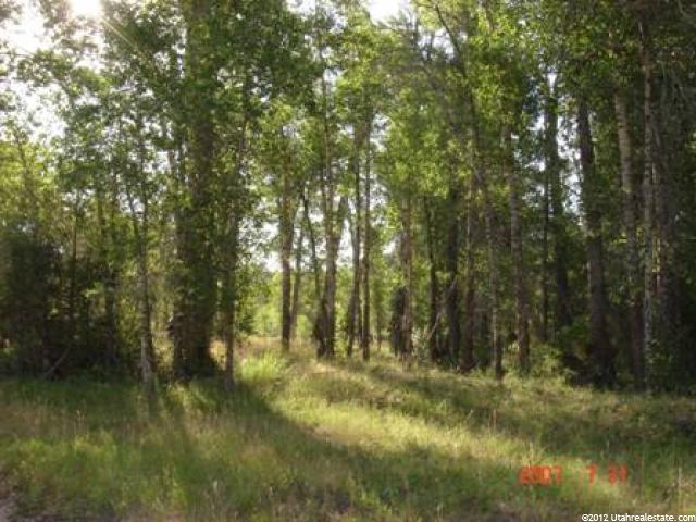 8501 E Lake Creek Rd, Heber City, UT 84032 — photo 3