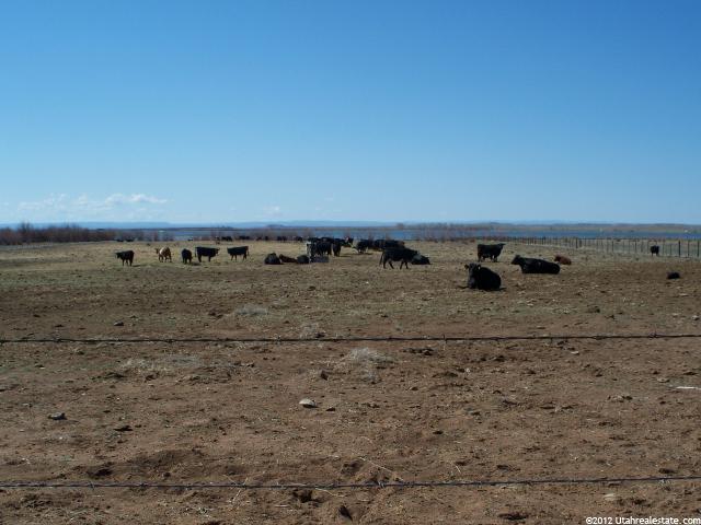 6124 S Highway 88, Randlett, UT 84063 — photo 5