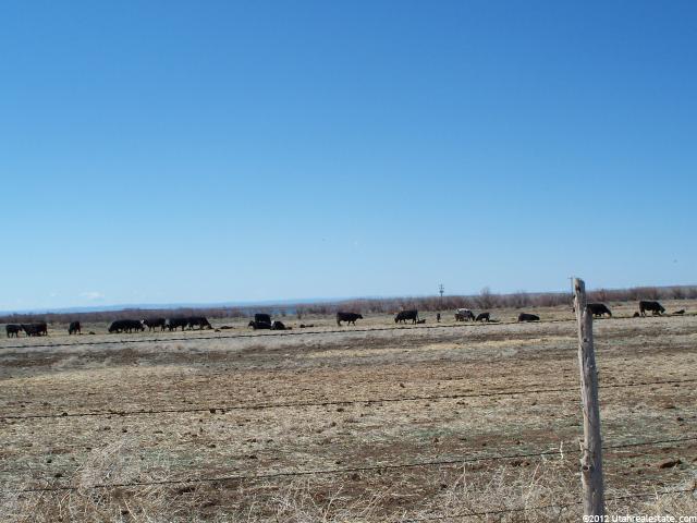 6124 S Highway 88, Randlett, UT 84063 — photo 7