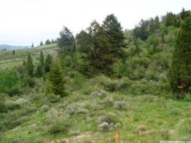 20 Summit Rd, Soda Springs, ID 83276 — photo 3