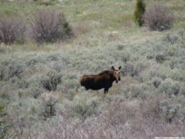 20 Summit Rd, Soda Springs, ID 83276 — photo 4